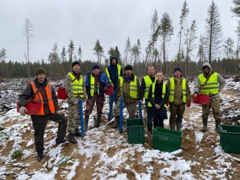 Фото Группы компаний УЛК. Фото Группы компаний УЛК.