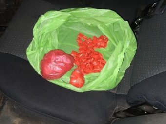 Фото: УМВД. Фото: УМВД.