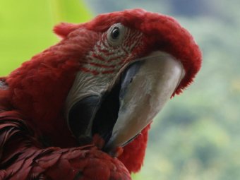 А я и сама офигела... А я и сама офигела...