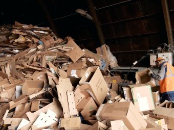 Фото «ЭкоИнтегратора». Фото «ЭкоИнтегратора».