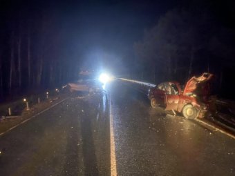 Фото: УМВД. Фото: УМВД.