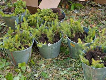 Фото пресс-службы губернатора. Фото пресс-службы губернатора.