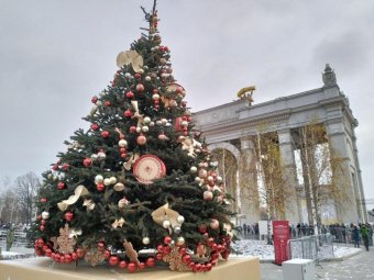 Фото пресс-службы губернатора Фото пресс-службы губернатора