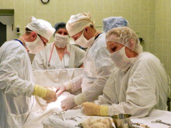 Фото пресс-службы правительства Архангельской области. Фото пресс-службы правительства Архангельской области.