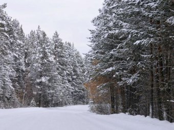 Фото Группы компаний УЛК. Фото Группы компаний УЛК.