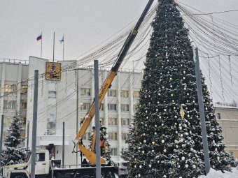 Фото: пресс-служба архгорадмина. Фото: пресс-служба архгорадмина.
