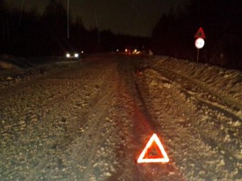 Фото пресс-службы УМВД по Архангельской области. Фото пресс-службы УМВД по Архангельской области.