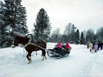 Фото: «Малые Корелы». Фото: «Малые Корелы».