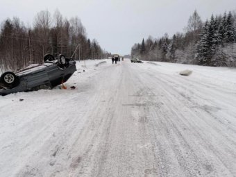Фото: УМВД. Фото: УМВД.