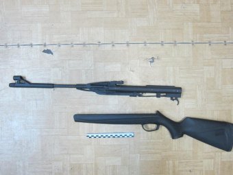 Фото: УТ МВД России по СЗФО. Фото: УТ МВД России по СЗФО.