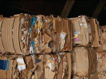 Фото: «ЭкоИнтегратор». Фото: «ЭкоИнтегратор».