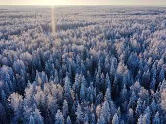 Фото Группы компаний УЛК. Фото Группы компаний УЛК.