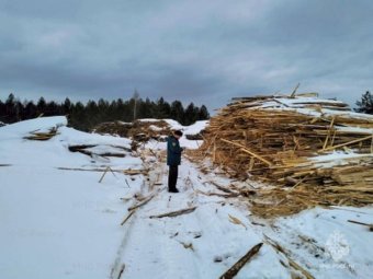 Фото: ГУ МЧС по Архангельской области. Фото: ГУ МЧС по Архангельской области.