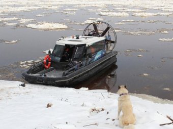 Фото пресс-службы областного правительства. Фото пресс-службы областного правительства.