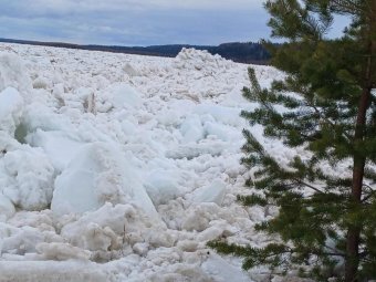 Фото: «Кузомень Холмогорский район»/«ВК». Фото: «Кузомень Холмогорский район»/«ВК».
