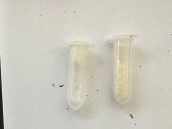 Фото: УМВД. Фото: УМВД.