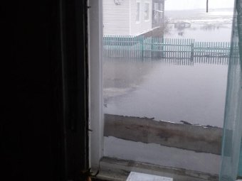 Фото: Анастасия Белоусова. Фото: Анастасия Белоусова.