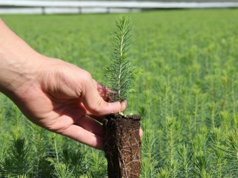 Фото Группы компаний УЛК. Фото Группы компаний УЛК.