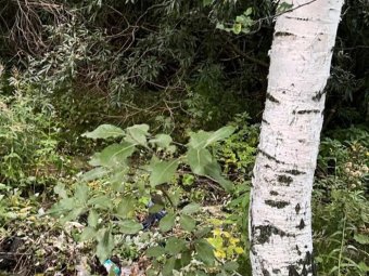 Фото: СУ СК по Архангельской области и НАО. Фото: СУ СК по Архангельской области и НАО.