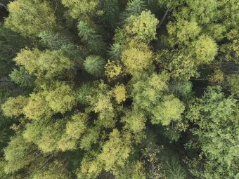 Фото Группы компаний УЛК. Фото Группы компаний УЛК.