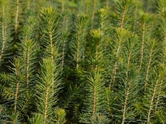 Фото Группы компаний УЛК. Фото Группы компаний УЛК.