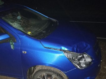 Фото: УМВД. Фото: УМВД.