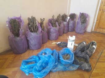 Фото: СУ СК. Фото: СУ СК.