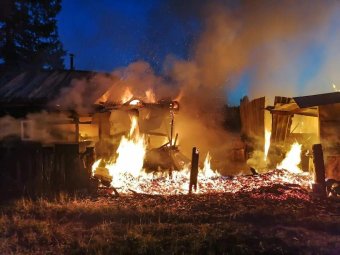 Фото: Агентство ГПС и ГЗ Архангельской области. Фото: Агентство ГПС и ГЗ Архангельской области.
