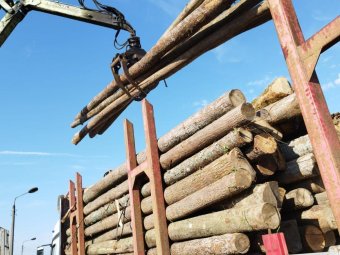 Все фото: Группа «Аквилон». Все фото: Группа «Аквилон».