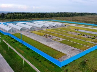 Фото Группы компаний УЛК. Фото Группы компаний УЛК.