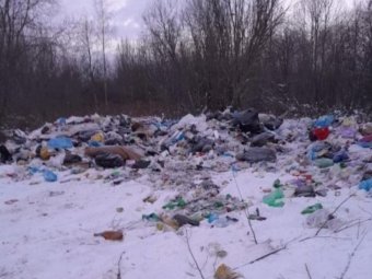 Фото: АРО ЛДПР. Фото: АРО ЛДПР.