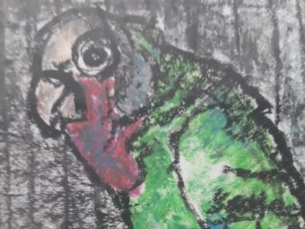 Фрагмент рисунка Екатерины Трубиной «Попугай» Фрагмент рисунка Екатерины Трубиной «Попугай»