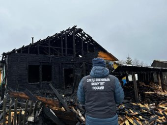 Фото: СУ СК. Фото: СУ СК.