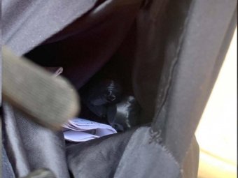 Фото: УМВД. Фото: УМВД.