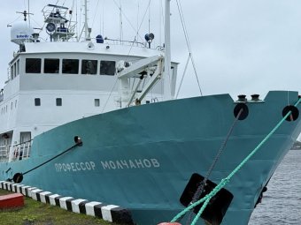 Все фото: Кирилл Иодас. Все фото: Кирилл Иодас.