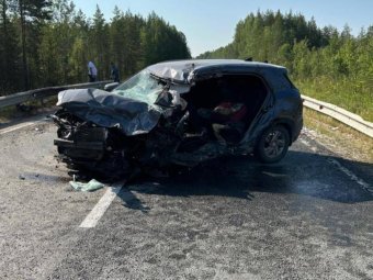 Фото: УМВД по Архангельской области. Фото: УМВД по Архангельской области.