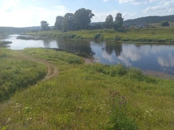 На фото (следкома) — река Устья. Здесь утонул мужчина. На фото (следкома) — река Устья. Здесь утонул мужчина.