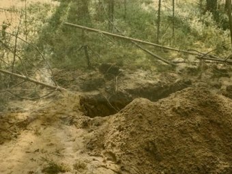 Фото: пресс-служба прокуратуры Архангельской области и НАО. Фото: пресс-служба прокуратуры Архангельской области и НАО.