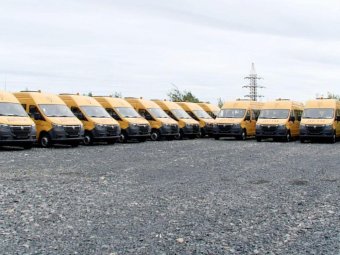 Фото: Минобраз Архангельской области. Фото: Минобраз Архангельской области.