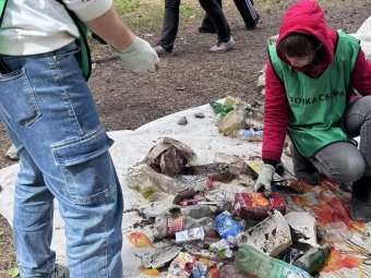 Фото: ОЗЯБ. Фото: ОЗЯБ.