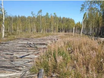 Фото пресс-службы прокуратуры Архангельской области Фото пресс-службы прокуратуры Архангельской области