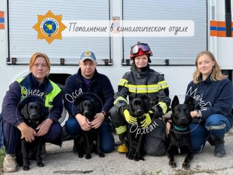 Все фото: АОСС. Все фото: АОСС.