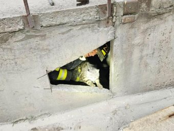 Фото: аварийно-спасательная служба Северодвинска. Фото: аварийно-спасательная служба Северодвинска.