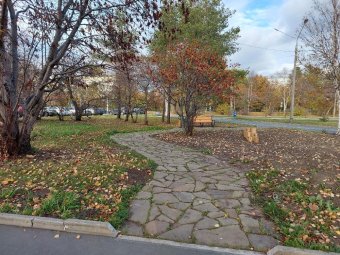 Все фото: пресс-служба администрации Архангельска. Все фото: пресс-служба администрации Архангельска.