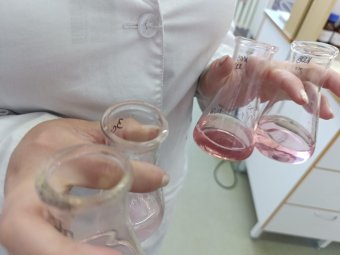 Фото: «РВК-Архангельск». Фото: «РВК-Архангельск».