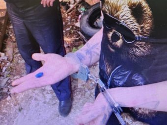 Фото прокуратуры Архангельской области. Фото прокуратуры Архангельской области.