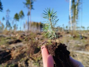 Фото пресс-службы губернатора и правительства Фото пресс-службы губернатора и правительства