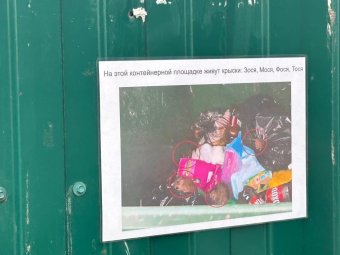 Объявление на одной из контейнерных площадок в Архангельске. Объявление на одной из контейнерных площадок в Архангельске.