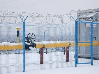 Фото: пресс-служба губернатора и правительства Архангельской области. Фото: пресс-служба губернатора и правительства Архангельской области.