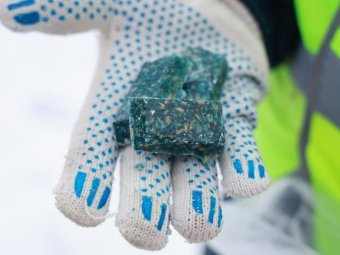 Так выглядит отрава. Фото: архгорадмин. Так выглядит отрава. Фото: архгорадмин.